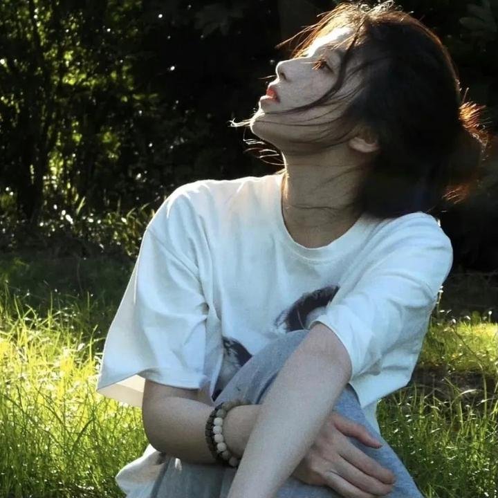 夏绿蒂的网