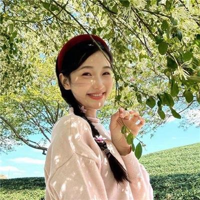 陆昭昭的刺客笔记